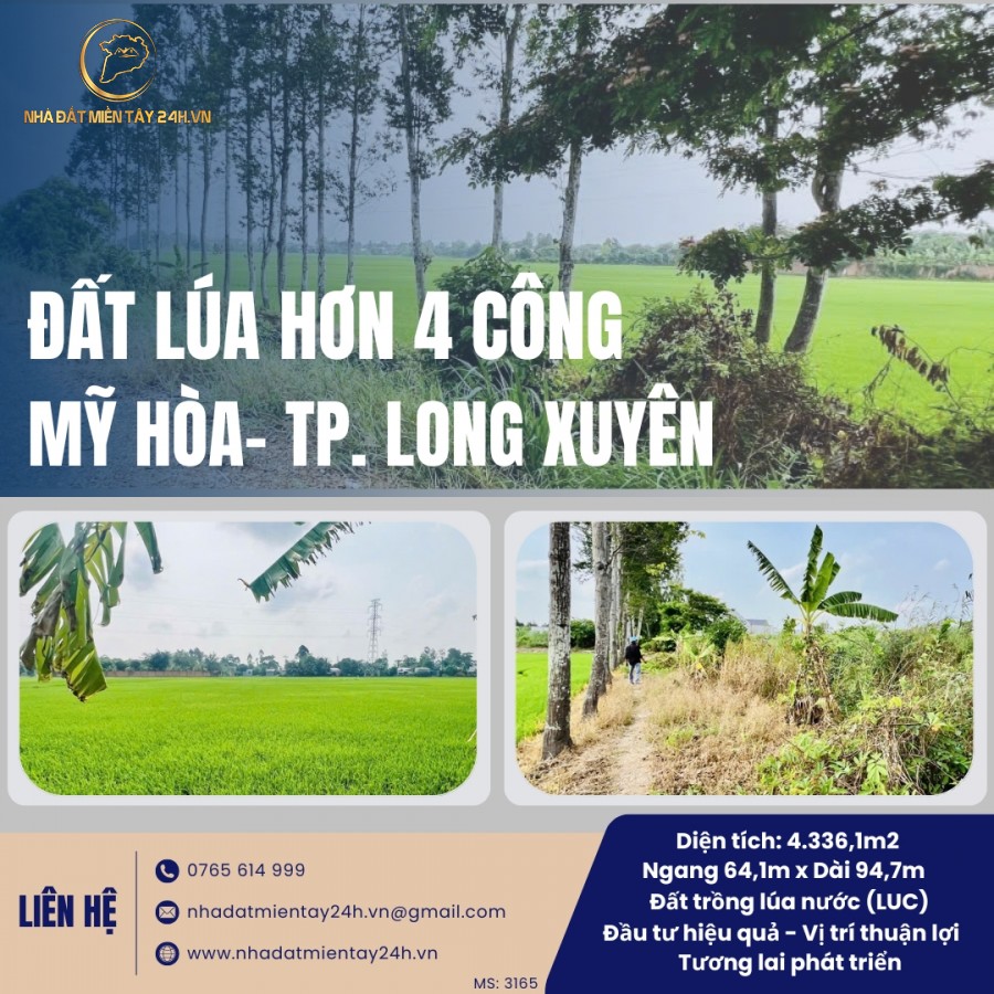 🌾 CƠ HỘI ĐẦU TƯ ĐẤT LÚA HƠN 4 CÔNG TẠI MỸ HÒA, LONG XUYÊN - SINH LỜI BỀN VỮNG (MS: 3165) 🌾